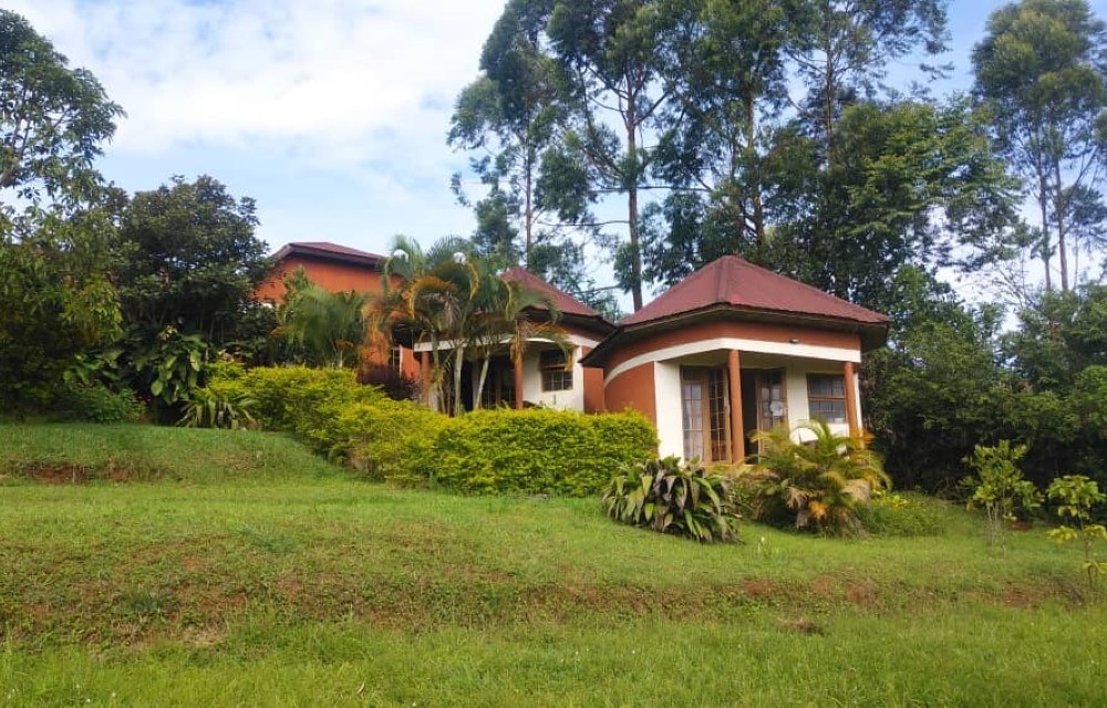 Embrace Eco-Friendly Travel at Wildwest Guest House